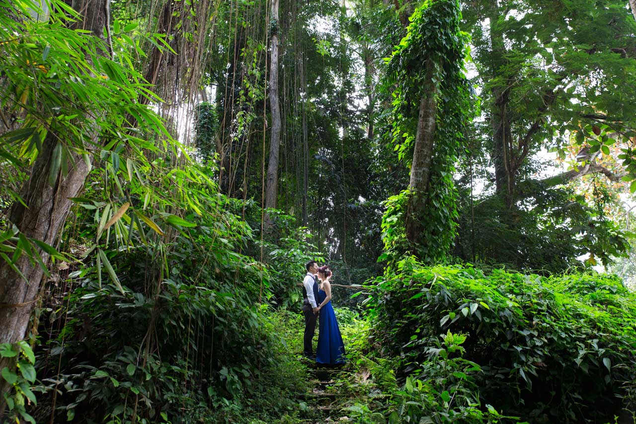 巴厘岛婚礼前的好森林地点